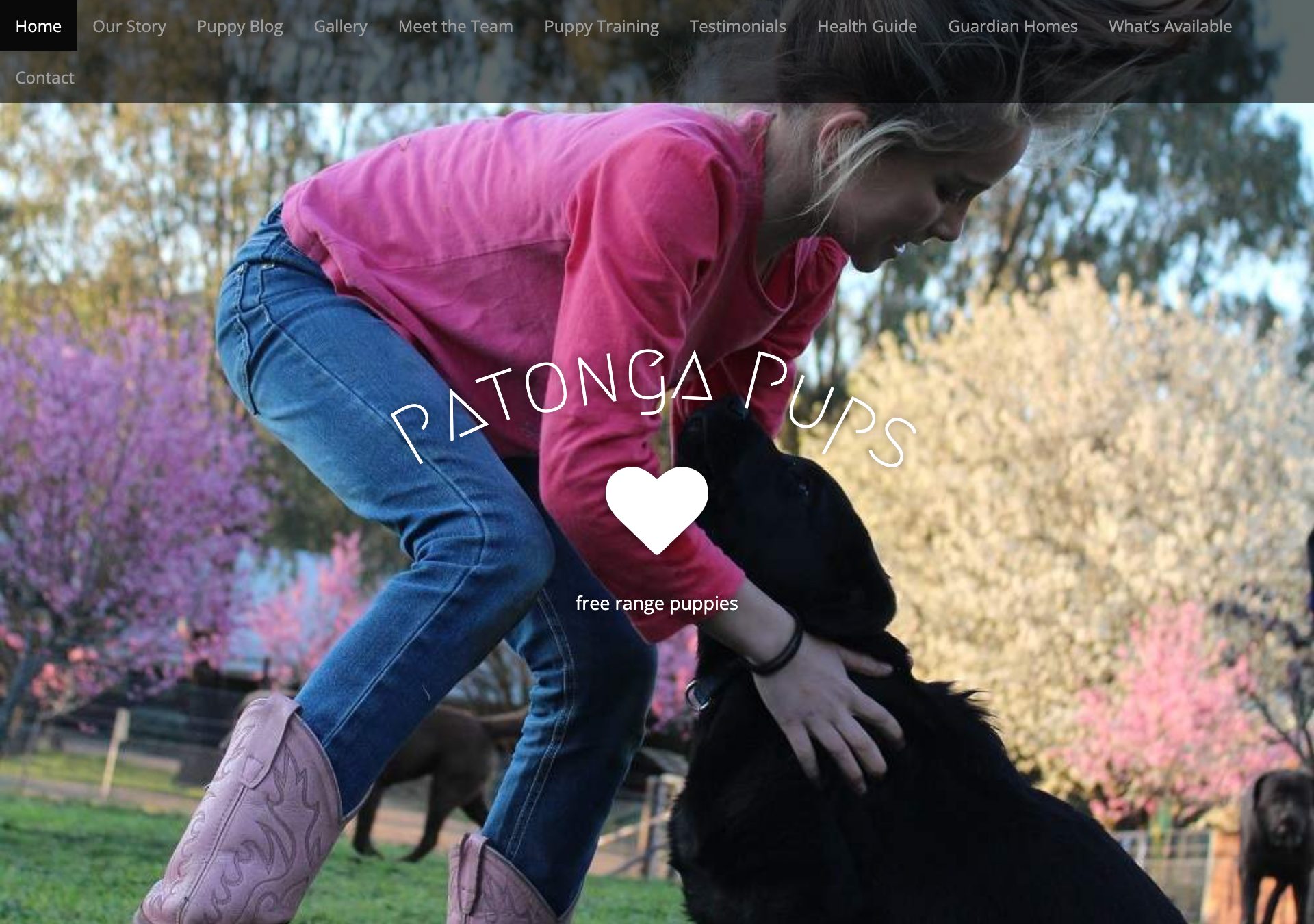 Patonga Pups after migration